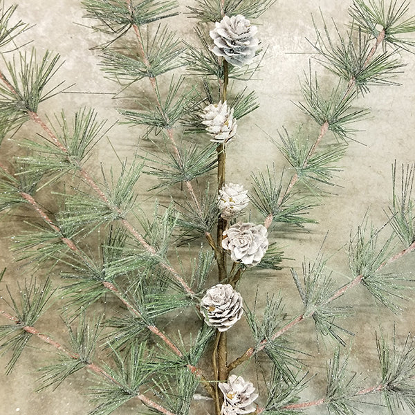 Snow Pine