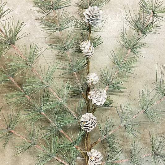 Snow Pine