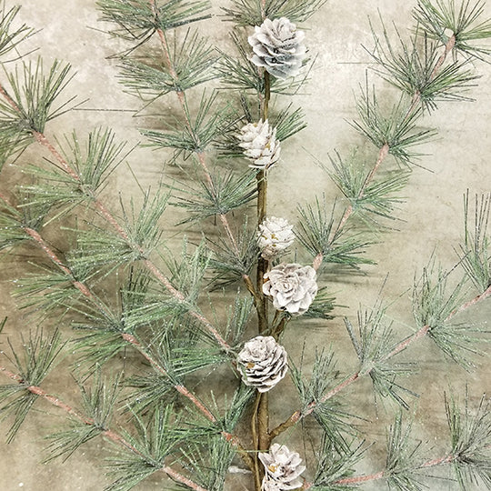 Snow Pine