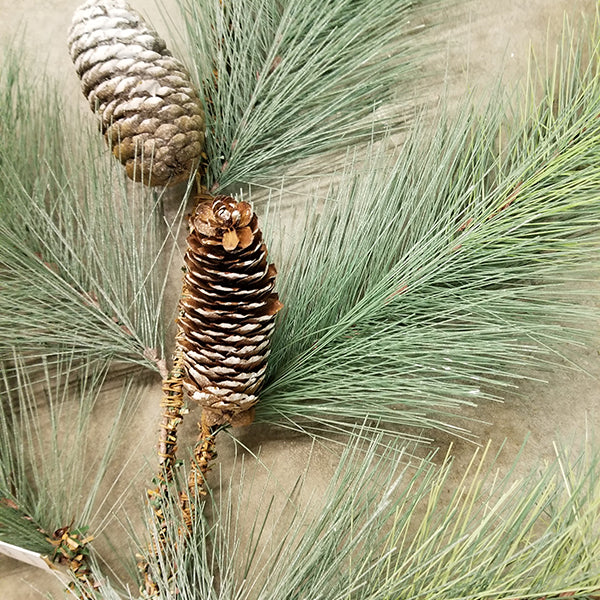 Snow Pine