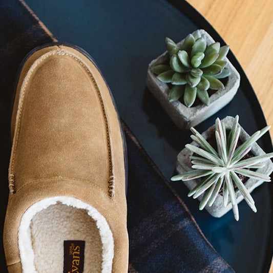 Shoe shoes