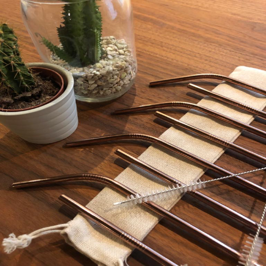 Stainless Steel Straws x 8