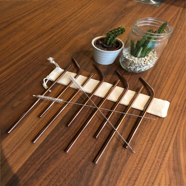 Stainless Steel Straws x 8